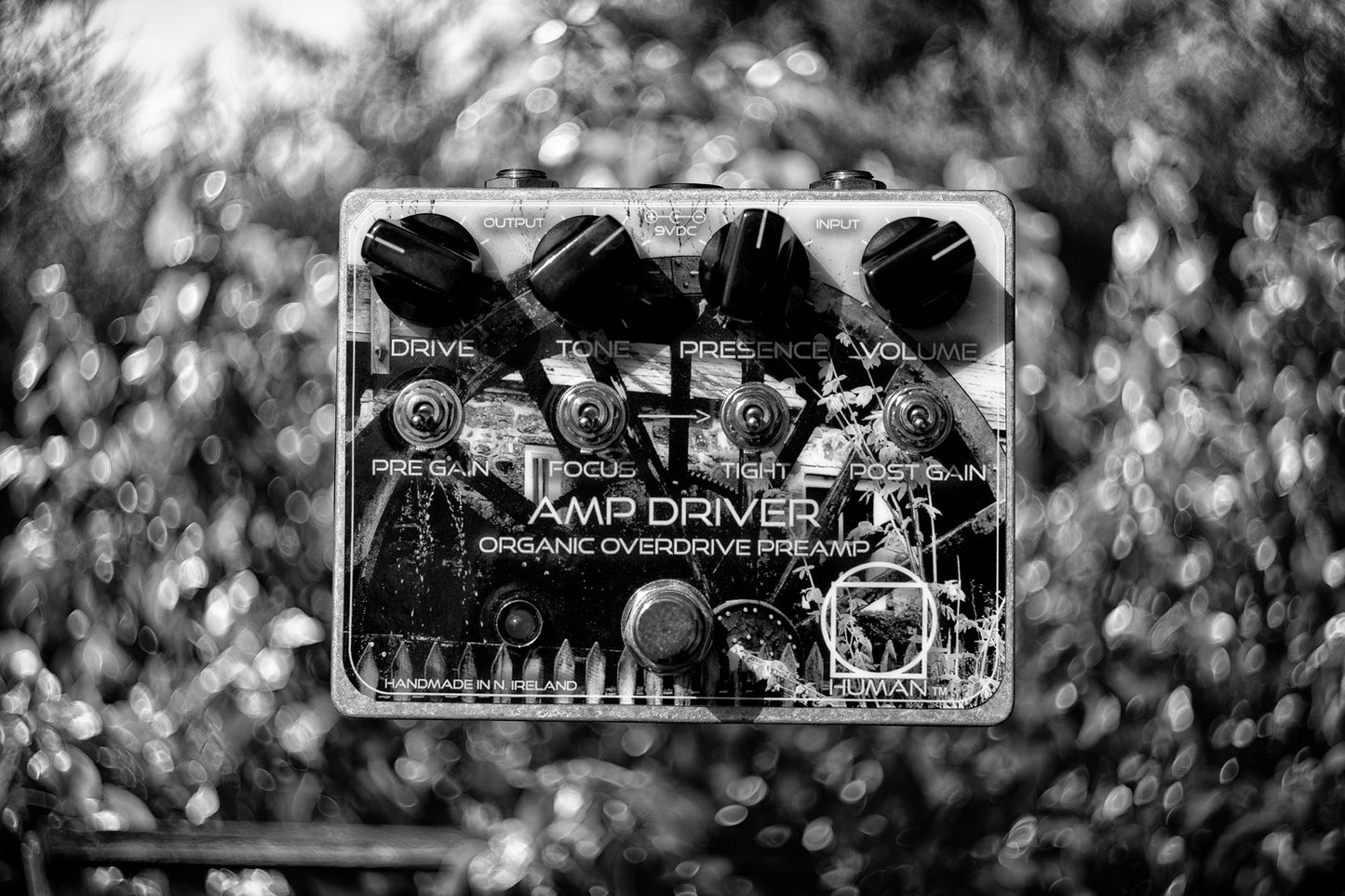 Human Amp Driver | Organic Overdrive Preamp + Distortion Pedal